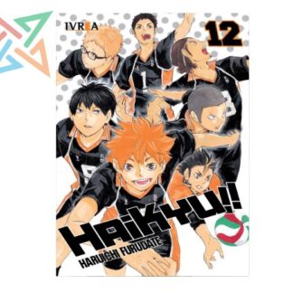 HAIKYU!! 12