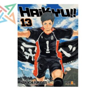 HAIKYU!! 13