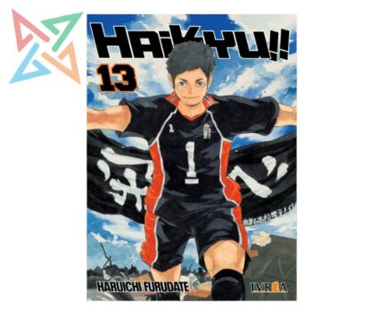 HAIKYU!! 13