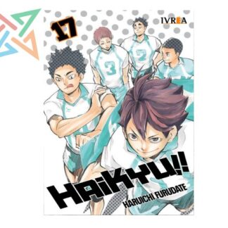HAIKYU!! 17