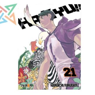 HAIKYU!! 21