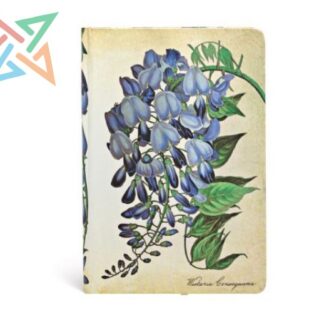 LIBRETA PAPERBLANKS - Tamaño Mini Liso 176 páginas: Glicinia en Flor, Ilustraciones Botánicas