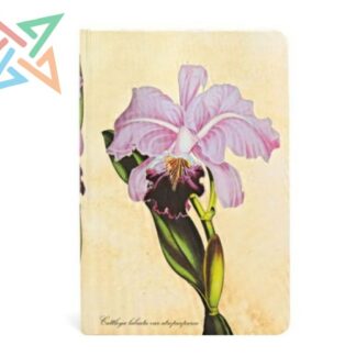 LIBRETA PAPERBLANKS - Tamaño Mini Rayado 176 páginas: Orquídea Brasileña, Ilustraciones Botánicas