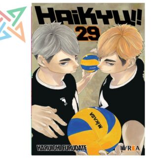 HAIKYU!! 29