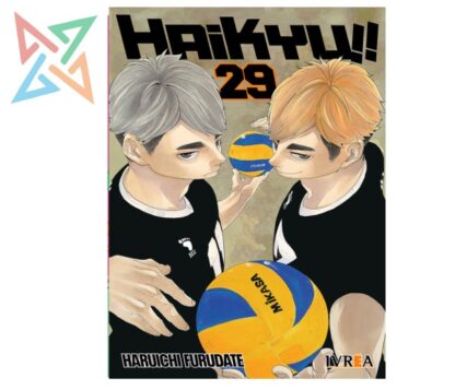 HAIKYU!! 29