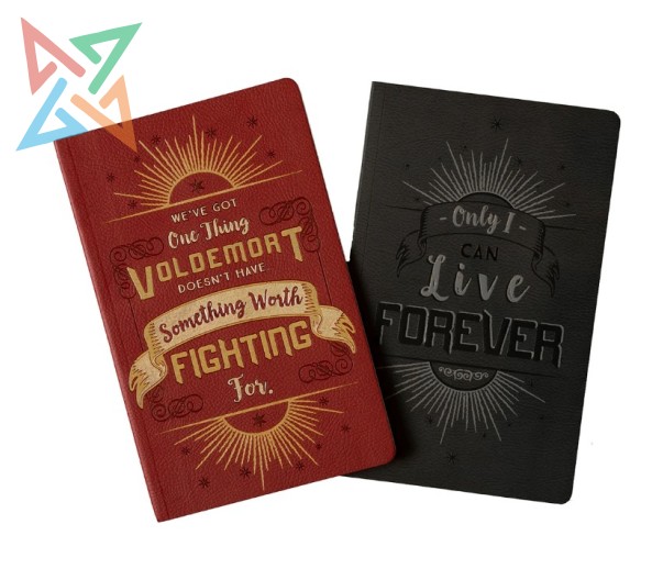 CUADERNO INSIGHTS - HARRY POTTER & VOLDEMORT 21x13 (2 en 1: Rayado de 64 págs. c/u)