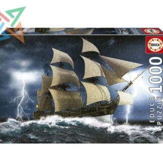 ROMPECABEZAS PUZZLE EDUCA 1000 piezas Nro 19556: TORMENTA PERFECTA